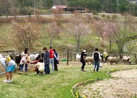 室根総合開発