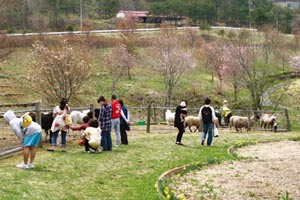 室根総合開発